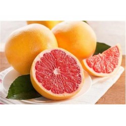 RED POMELO 1 lb