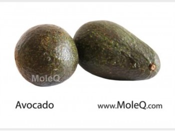 AVOCADO 1 lb