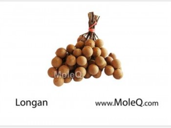 LONGAN 1 lb