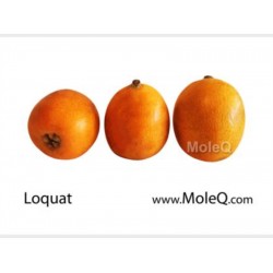 LOQUAT 1 lb