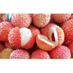 LYCHEE BERRY 1 lb