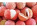 LYCHEE BERRY 1 lb