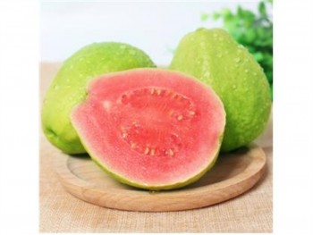 PINK GUAVA 1 lb