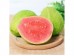 PINK GUAVA 1 lb