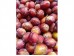 SUGAR PLUM  1 lb
