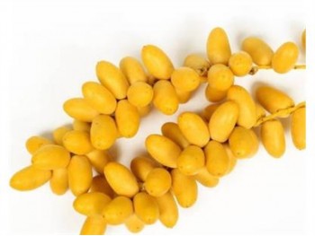 YELLOW DATE BARHI 1 lb