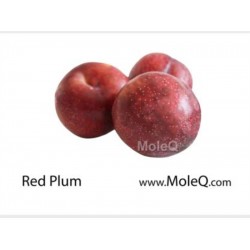 RED PLUM 1 lb