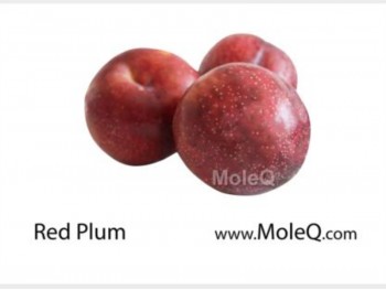 RED PLUM 1 lb