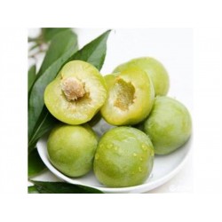 GREEN PLUM 1 lb