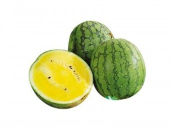  YELLOW WATERMELON