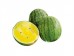  YELLOW WATERMELON