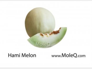 XIN JIANG MELON 1 lb