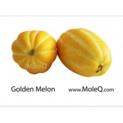 KOREAN GOLDEN MELON 1 lb
