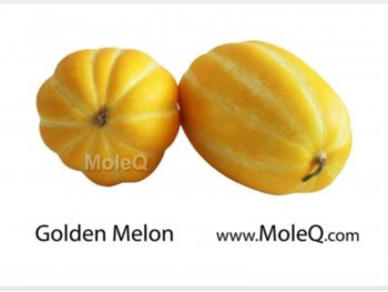 KOREAN GOLDEN MELON 1 lb