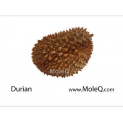 FRESH DURIAN 1 lb