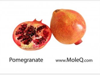 POMEGRANATE