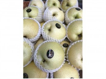 SAND PEAR 1 lb