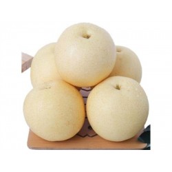 YELLOW SAND PEAR 