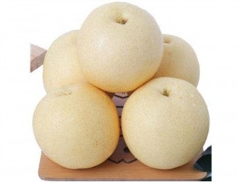 YELLOW SAND PEAR 