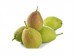 XIN JIANG PEAR 1 lb