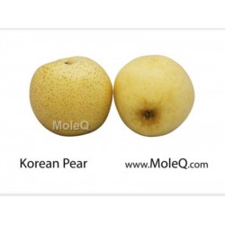 KOREAN PEAR（EACH）