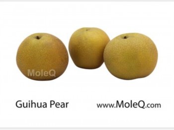 ASIAN GOLDEN PEAR（EACH）