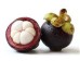 MANGOSTEEN