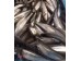 FRESH SMELT 1 lb