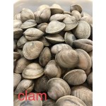 CLAM 1 lb