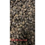 STONE SNALI 1 lb