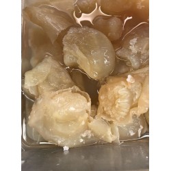 JELLY FISH FLOWER 1 lb