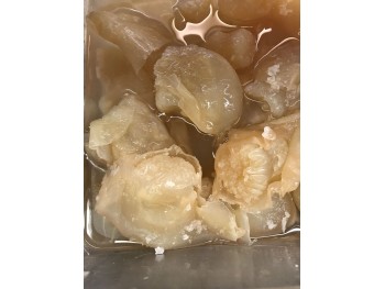 JELLY FISH FLOWER 1 lb