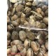 BABY CLAM 1 lb