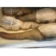 GEODUCK CLAM 1 lb