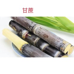 SUGAR CANE