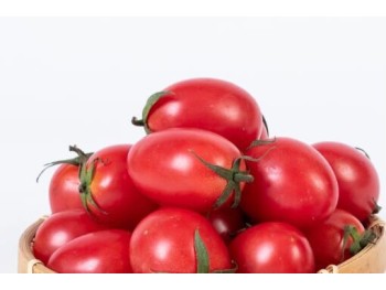 GRAPE TOMATOES  