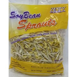 SOY BEAN SPROUTS  