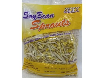 SOY BEAN SPROUTS  