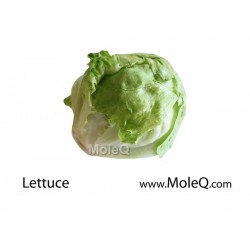 ICEBERG LETTUCE 1 lb