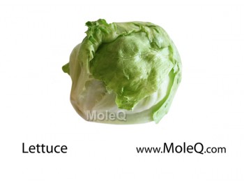 ICEBERG LETTUCE 1 lb