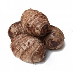 TARO 1 lb