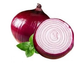 PURPLE ONION 1 lb